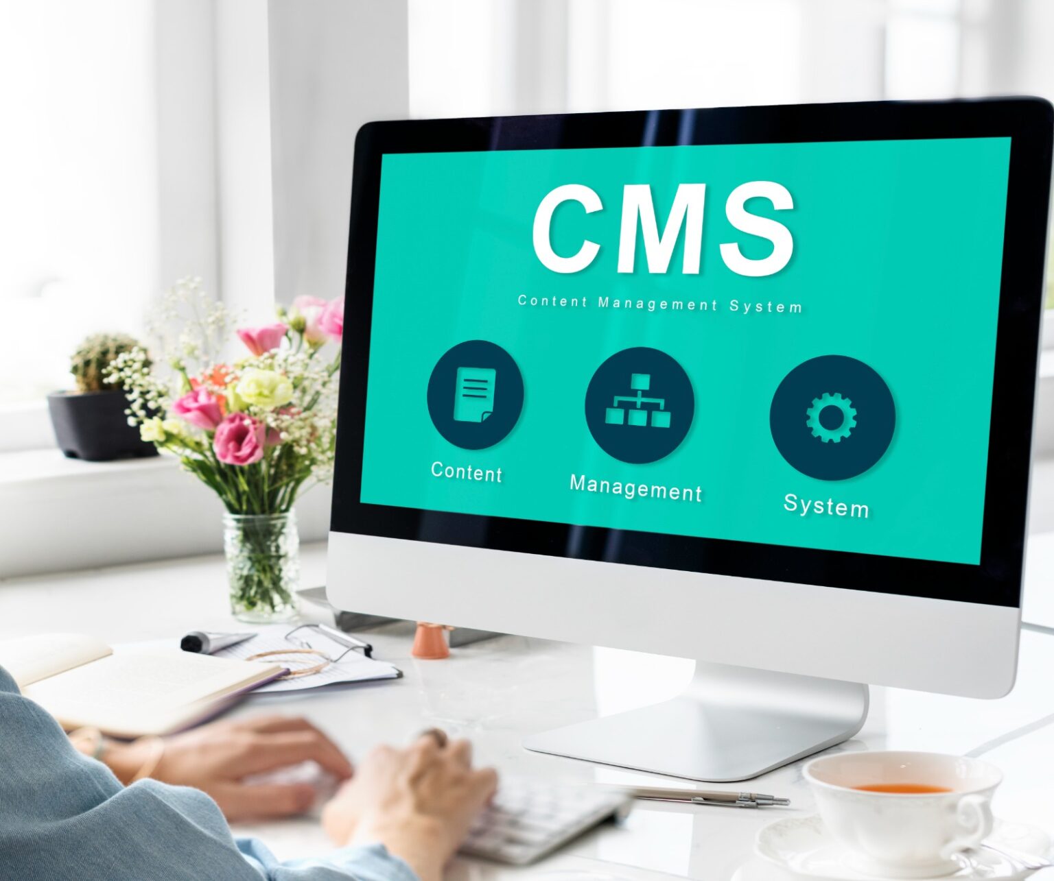 CMS Website Minneapolis | Best Content Management Systems